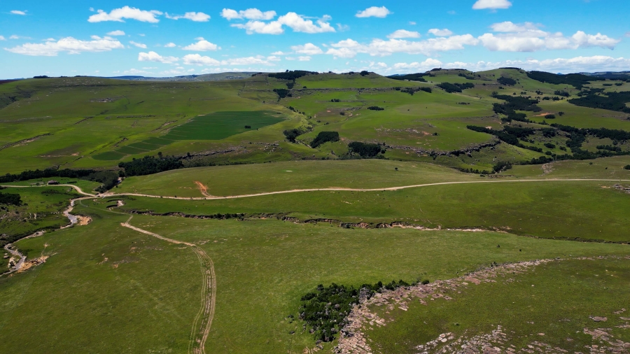 0 Bedroom Property for Sale in Maclear Rural Eastern Cape